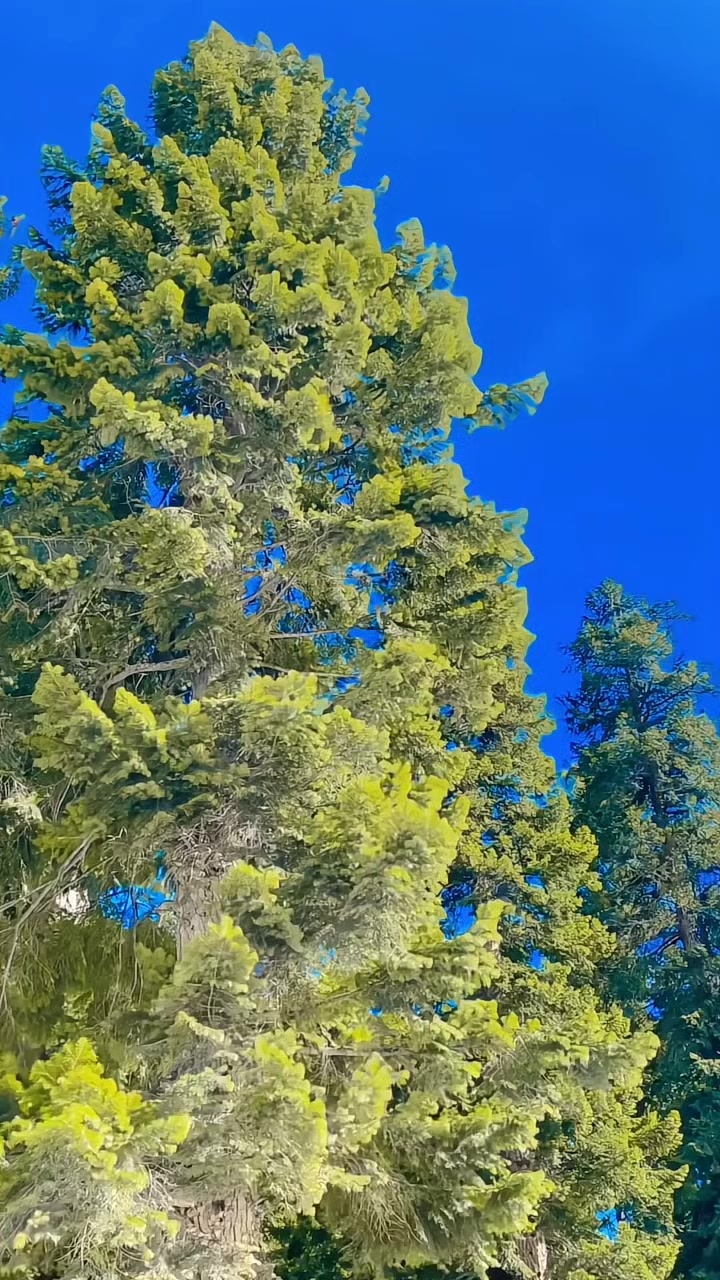 @𝐀𝐤𝐛𝐚𝐫 𝐀𝐥𝐢✨💝
