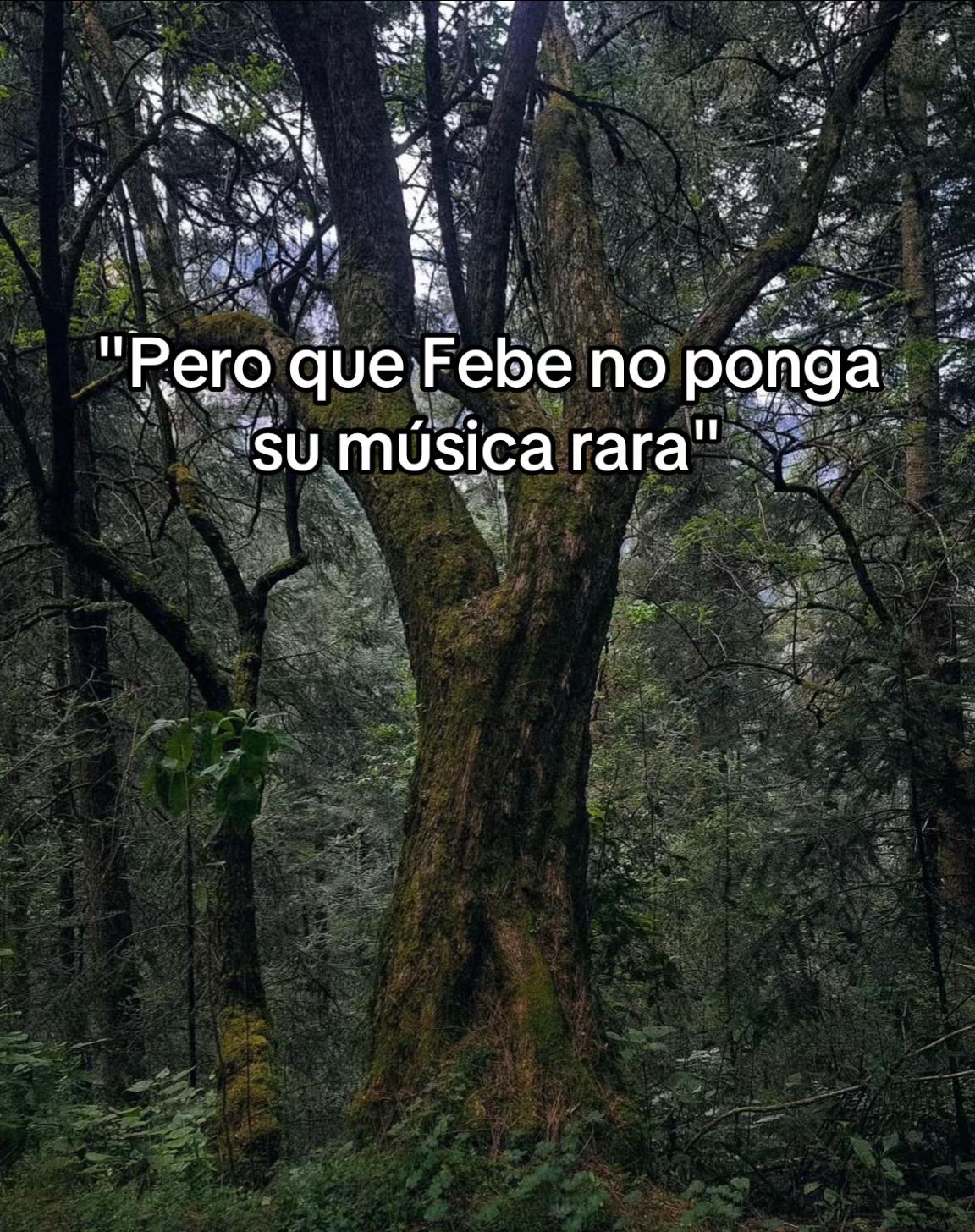 @Febe_Phoebe