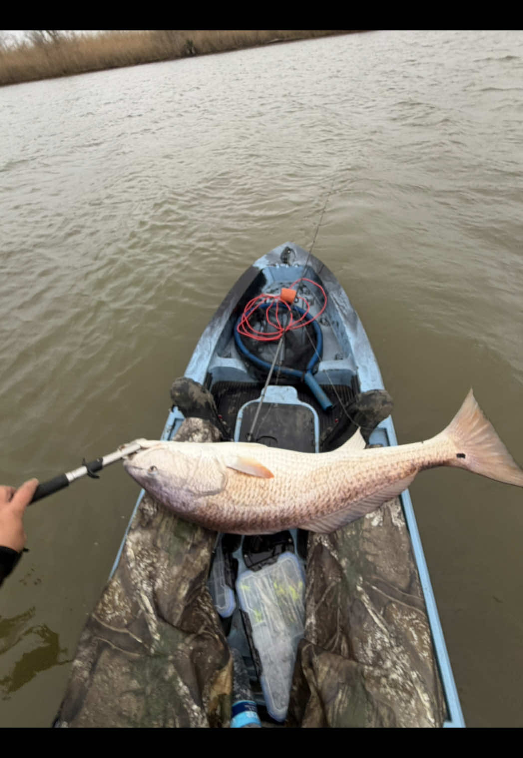 @LOW_BUDGET_FISHING
