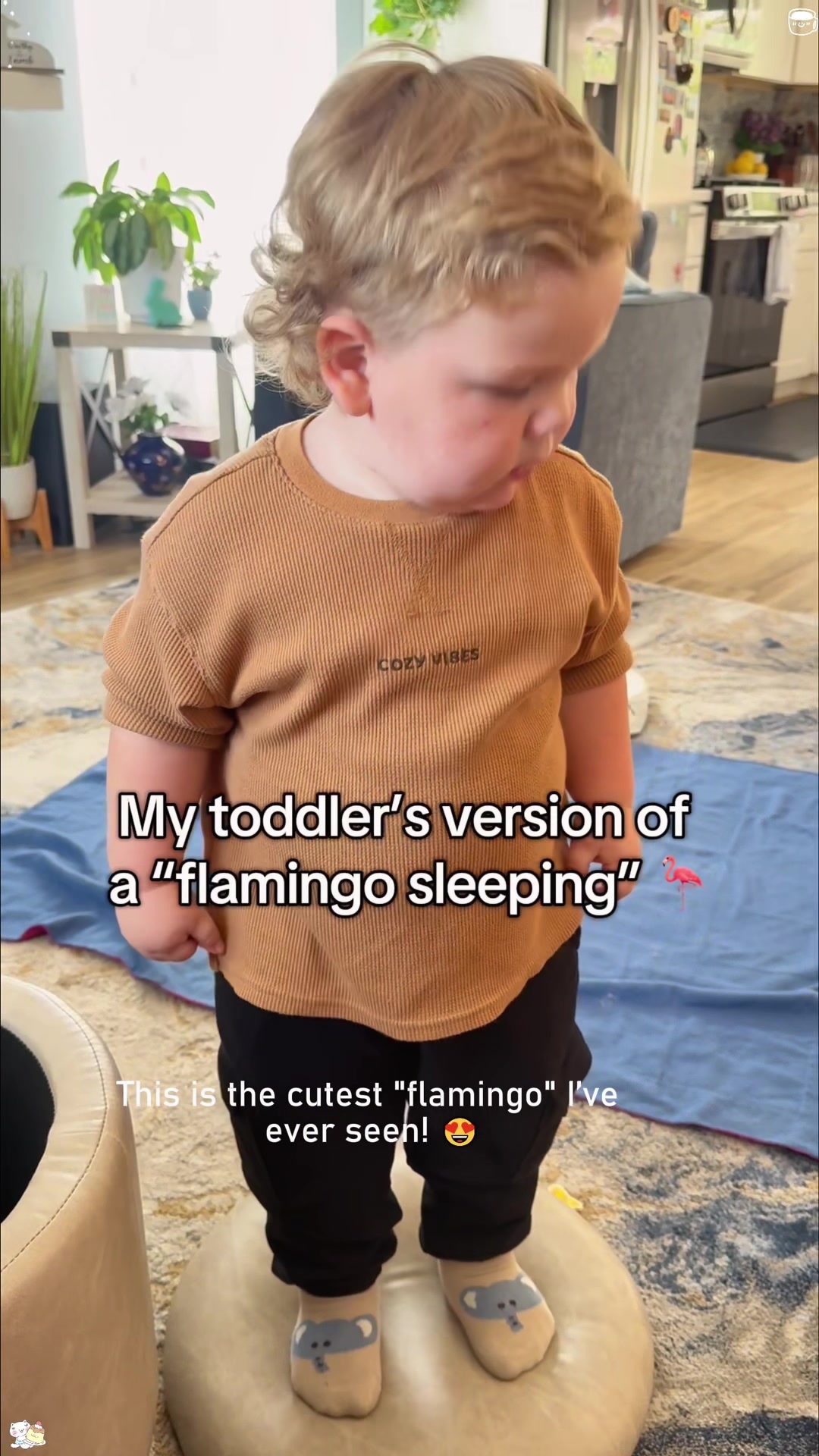 @lolmoments6802
