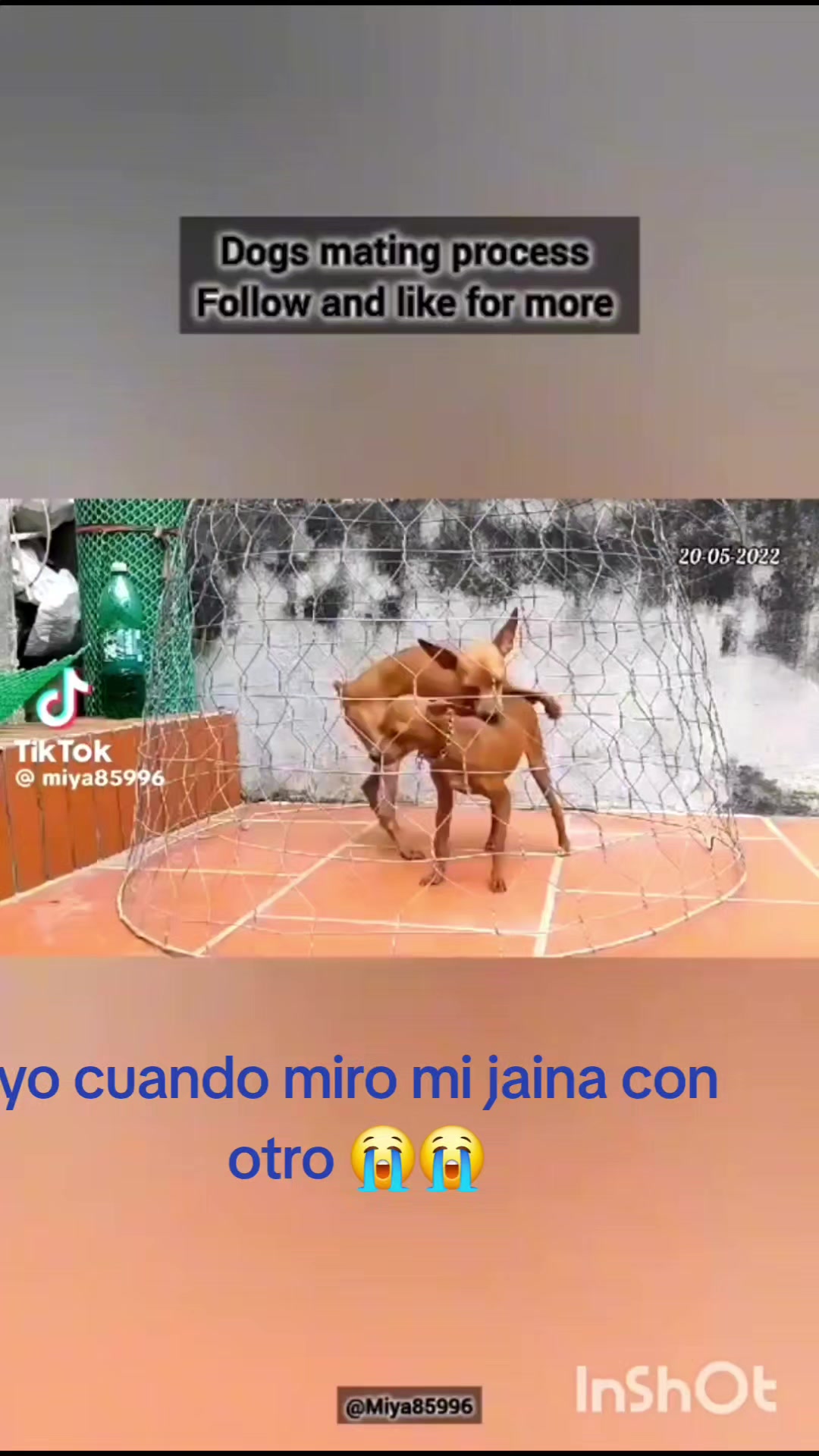 @Axel Ramos