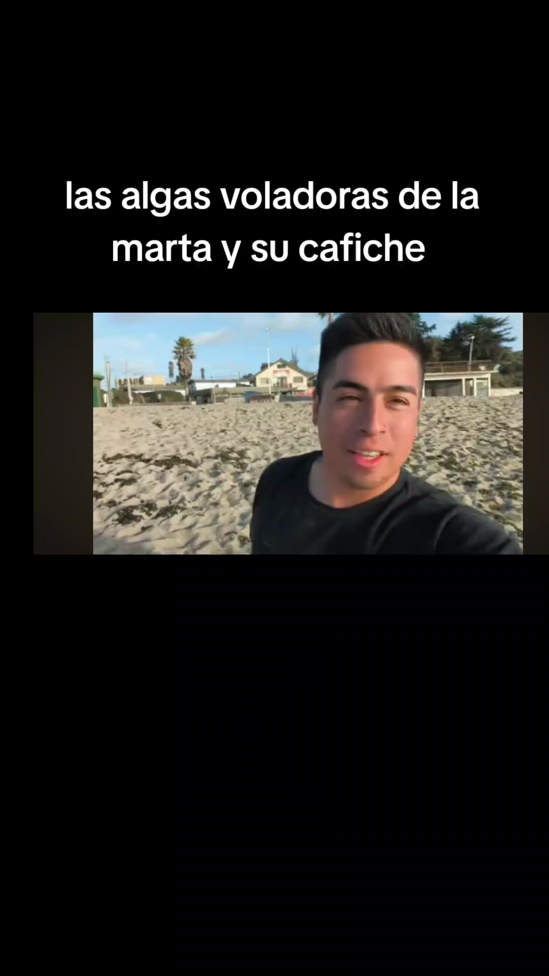 @mimillonaria