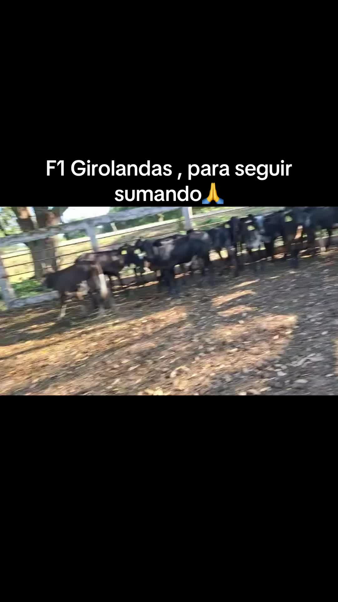 @Caballo loco 77