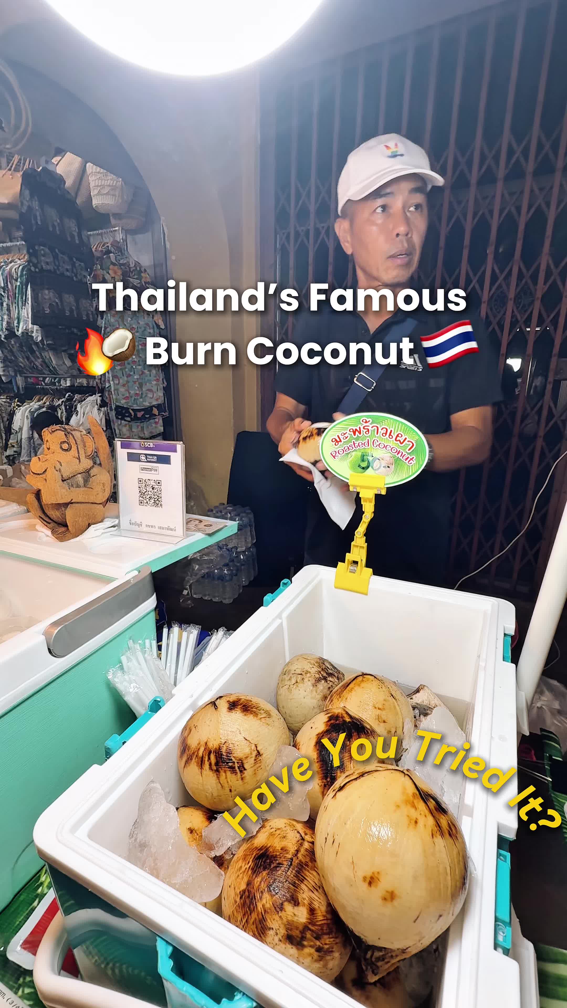 @Vanisha&rsquo;s Travel Bites ✈️