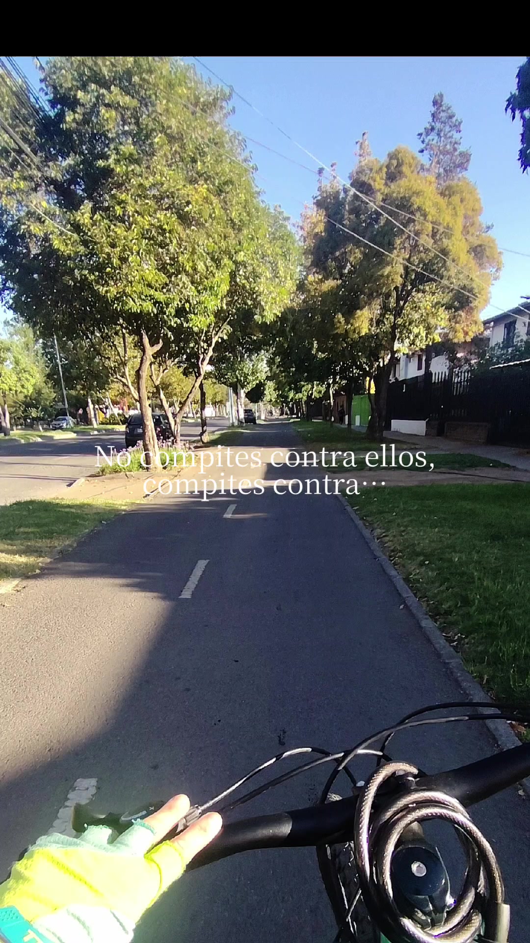 @Marta Lara Lara
