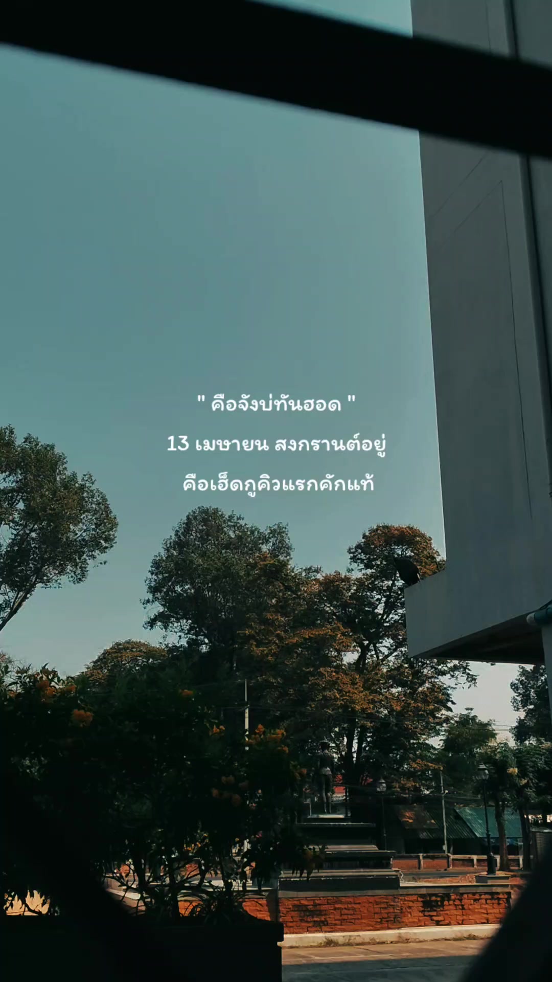 @pipat🌻🤍51.7K