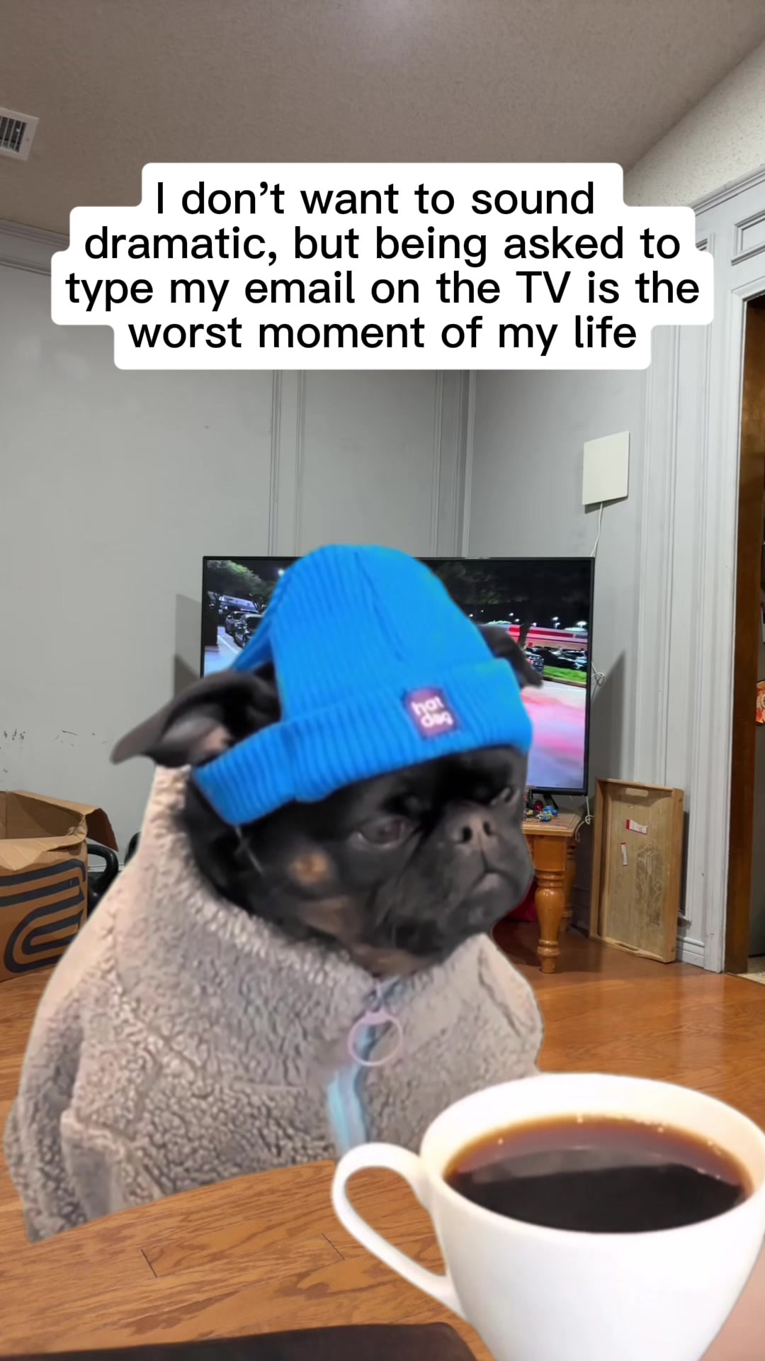 @Your friend Sunny!