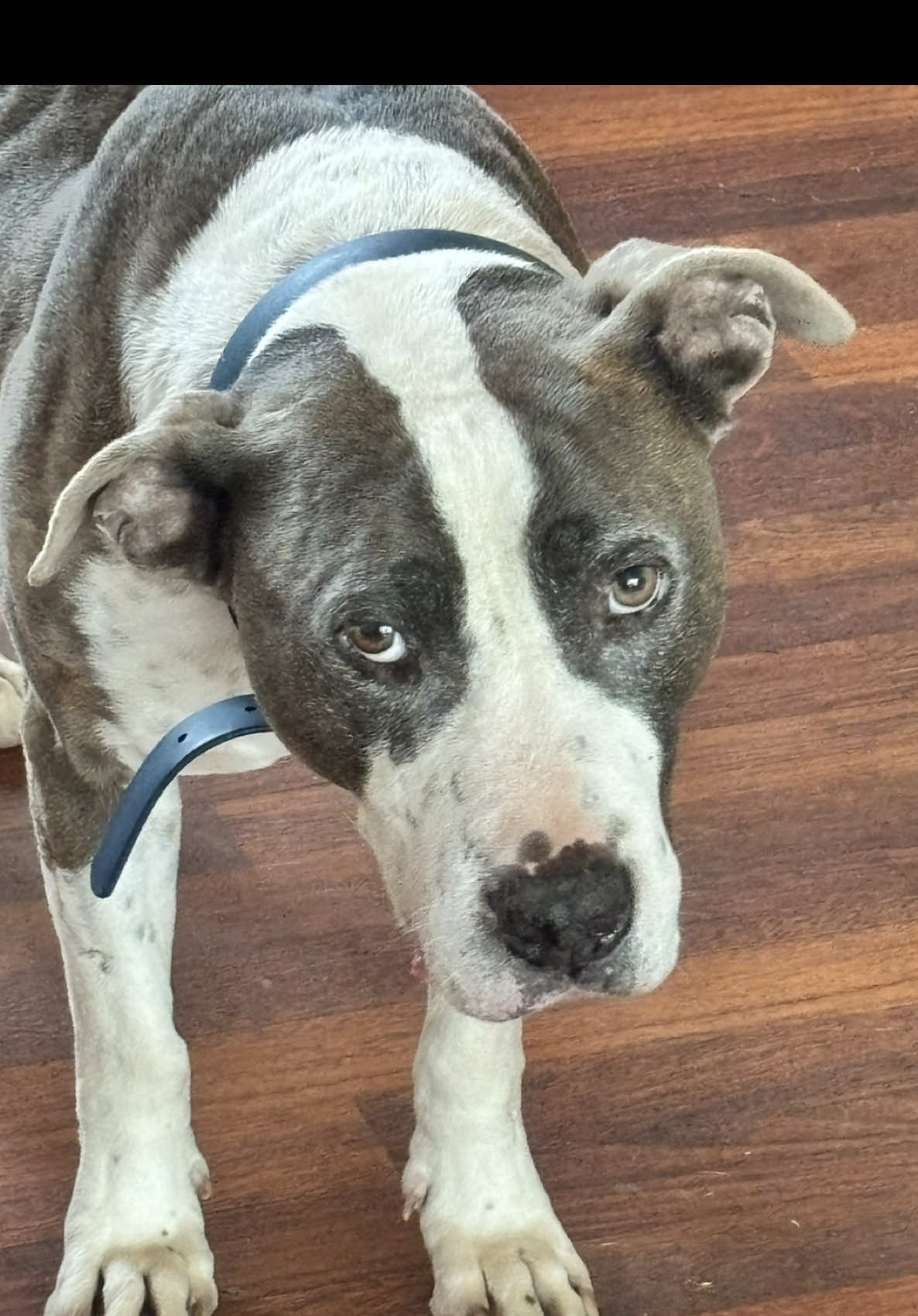 @caponethepitty