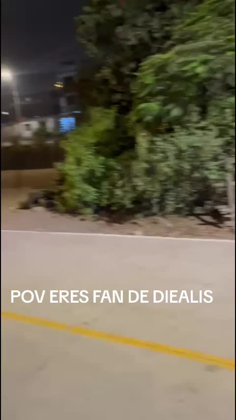 @cenfe21