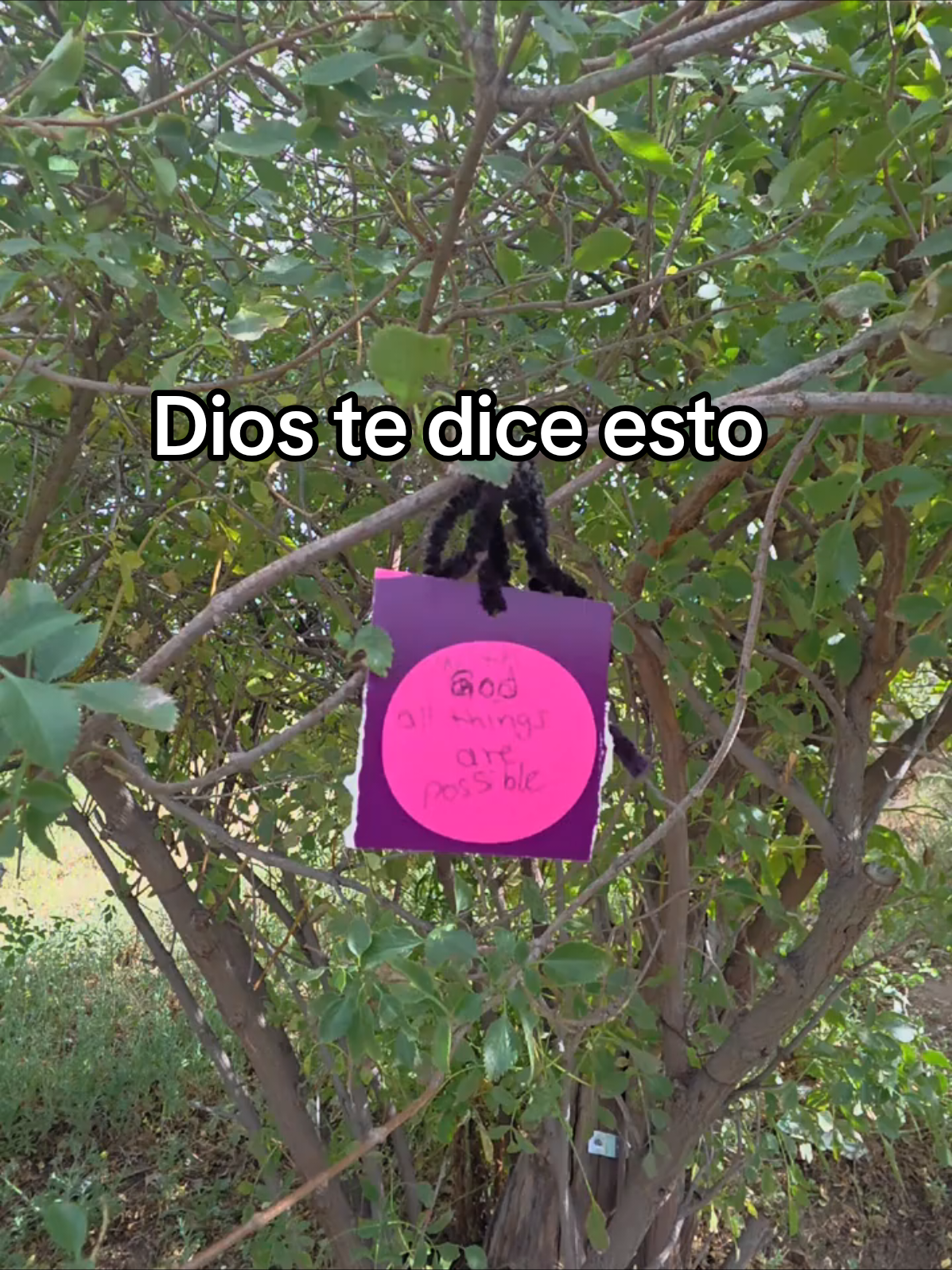 @soymolina