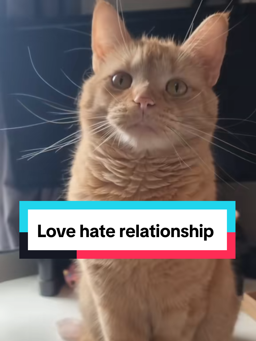 @Paws and Claws