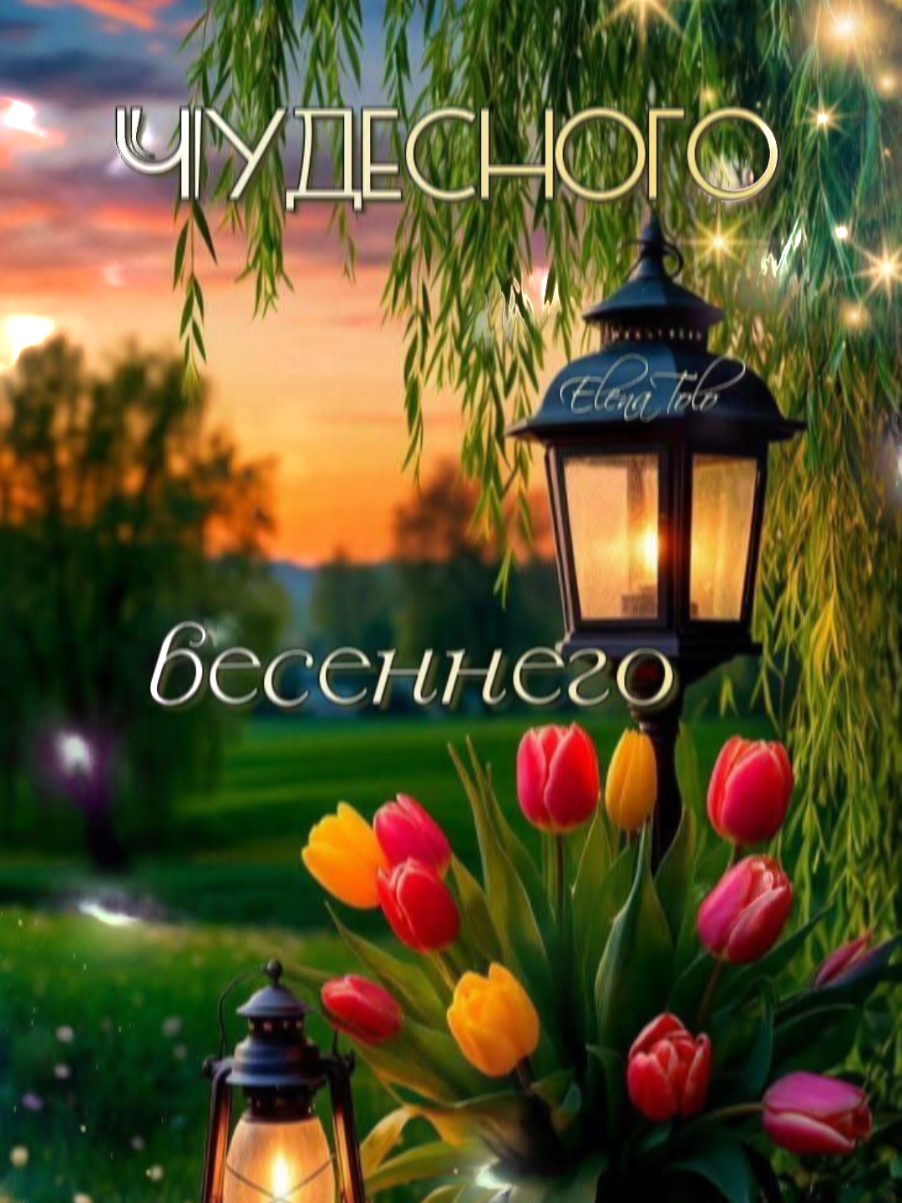 @НЕЛЛИ