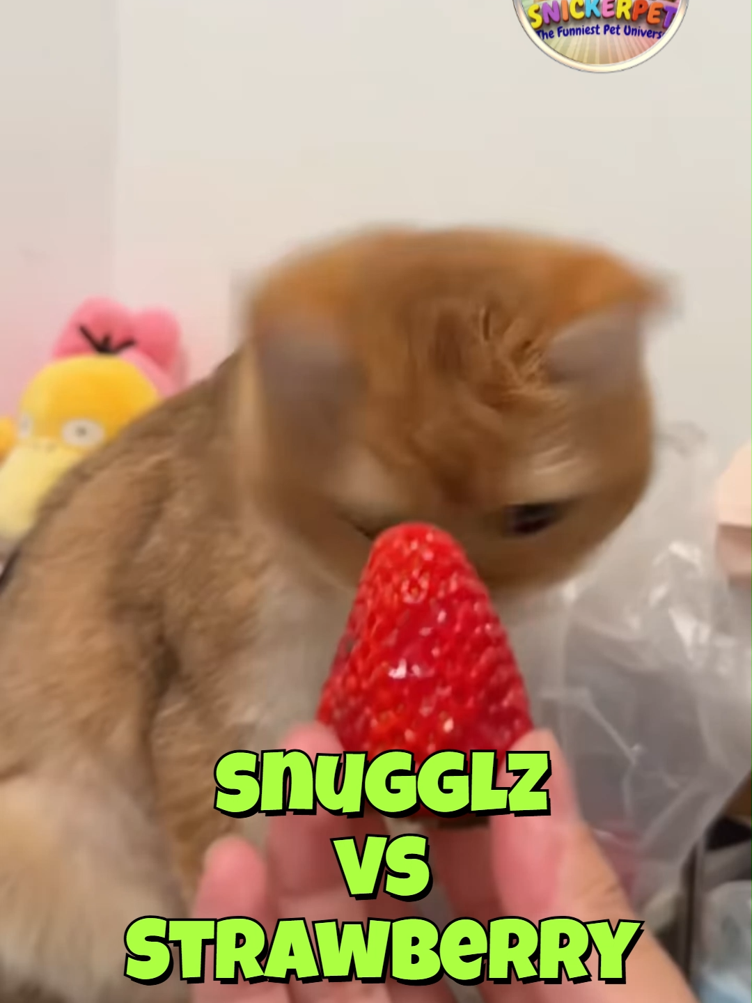 @Snickerpet