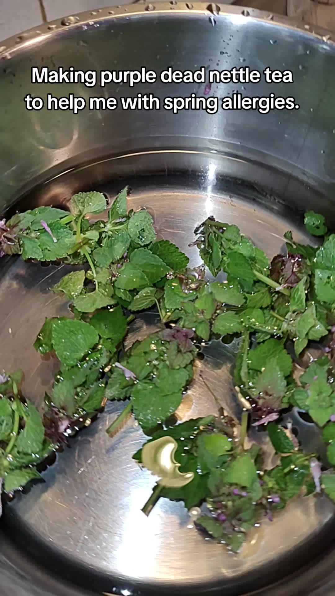 @thegardeningnurse7