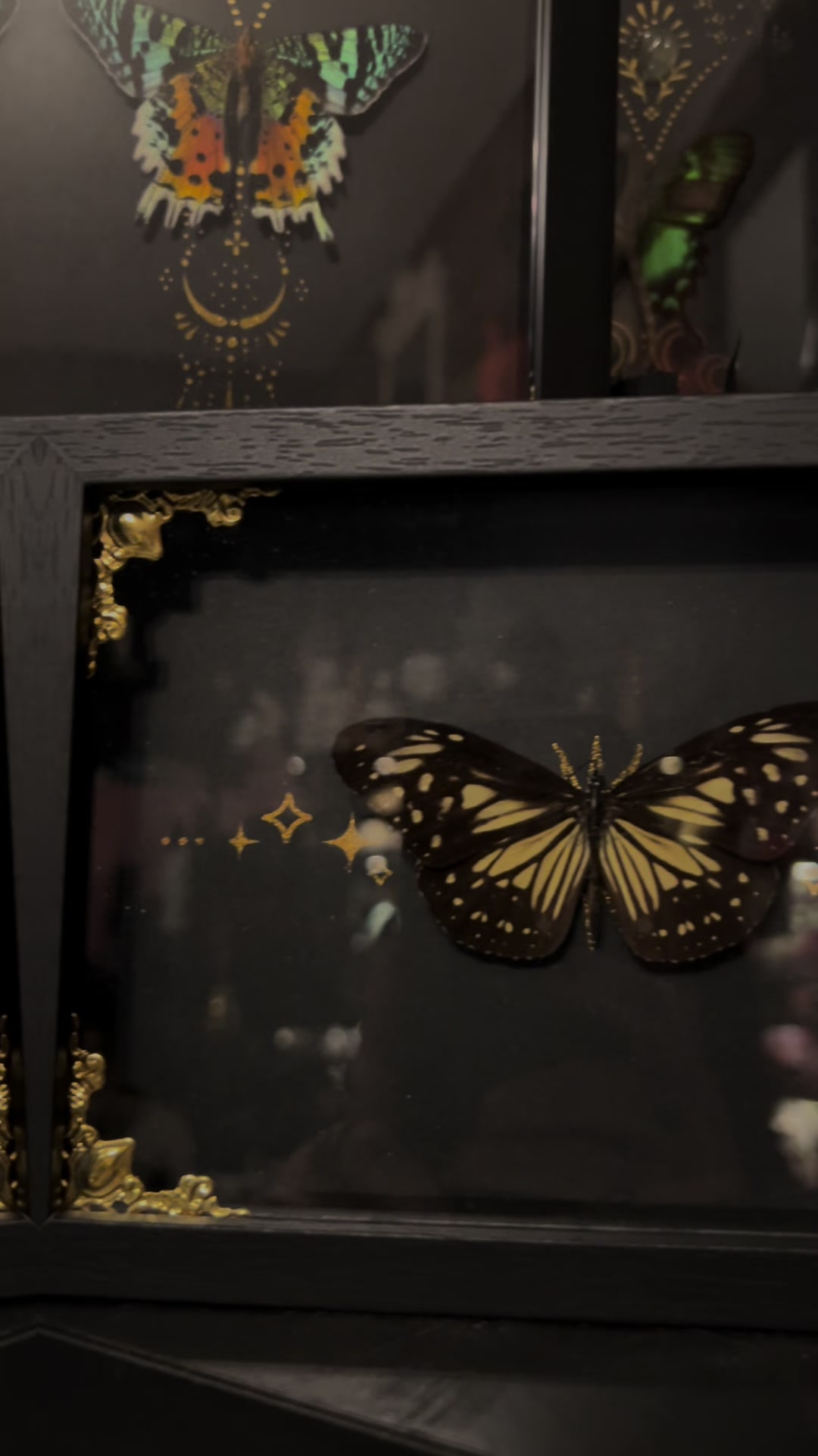 @Muse Crystals