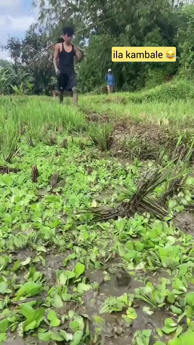 @mpanyura