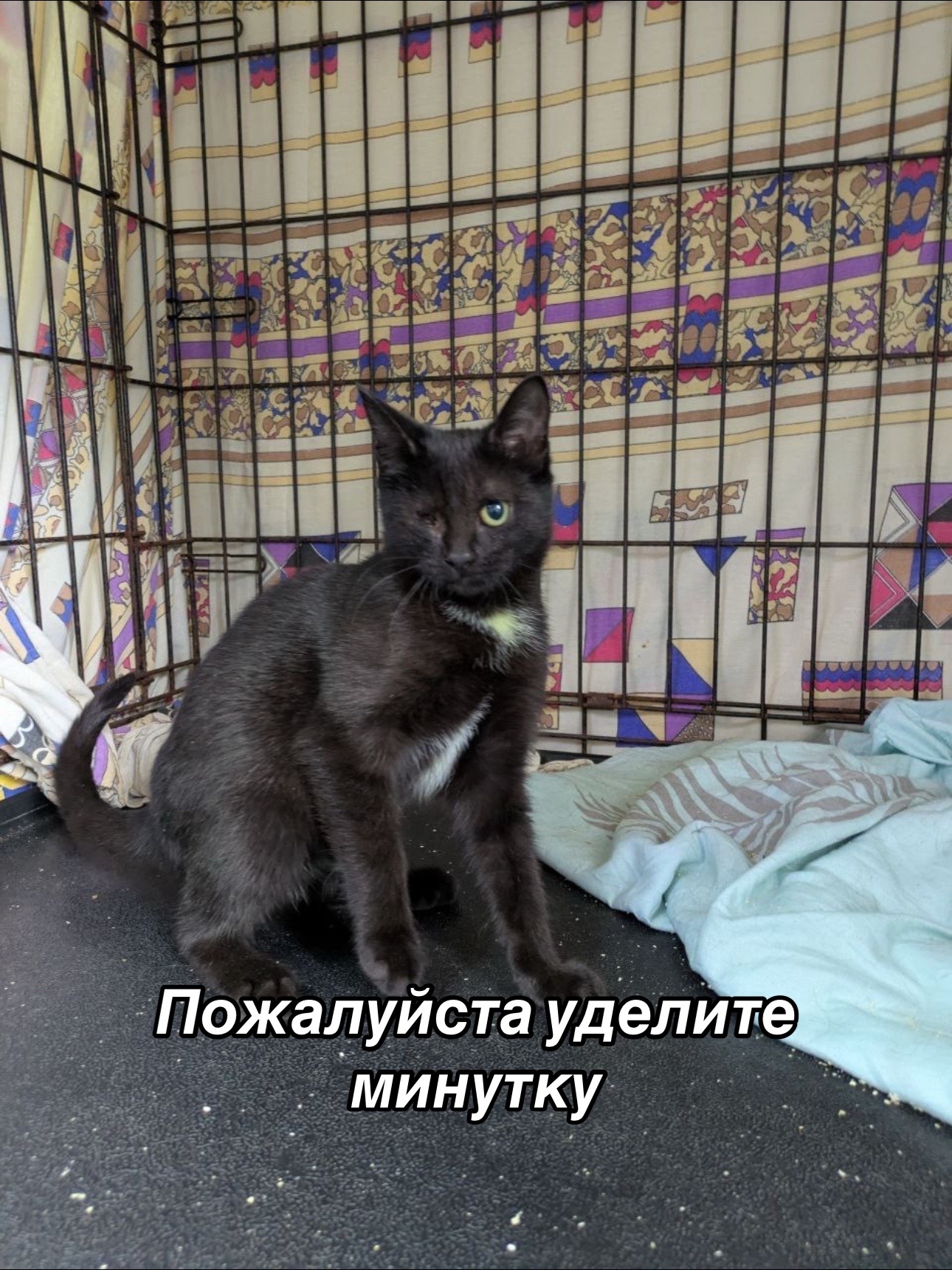 @Приют Потеряшка