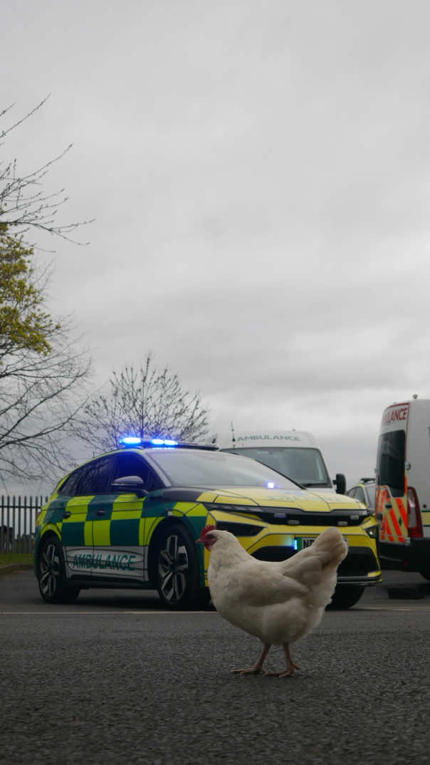 @NewcastleBlueLights
