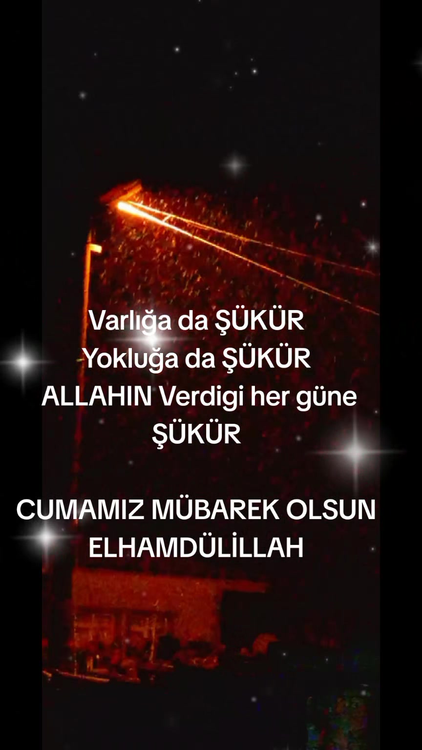 @&uuml;m&uuml;t d&uuml;nyası