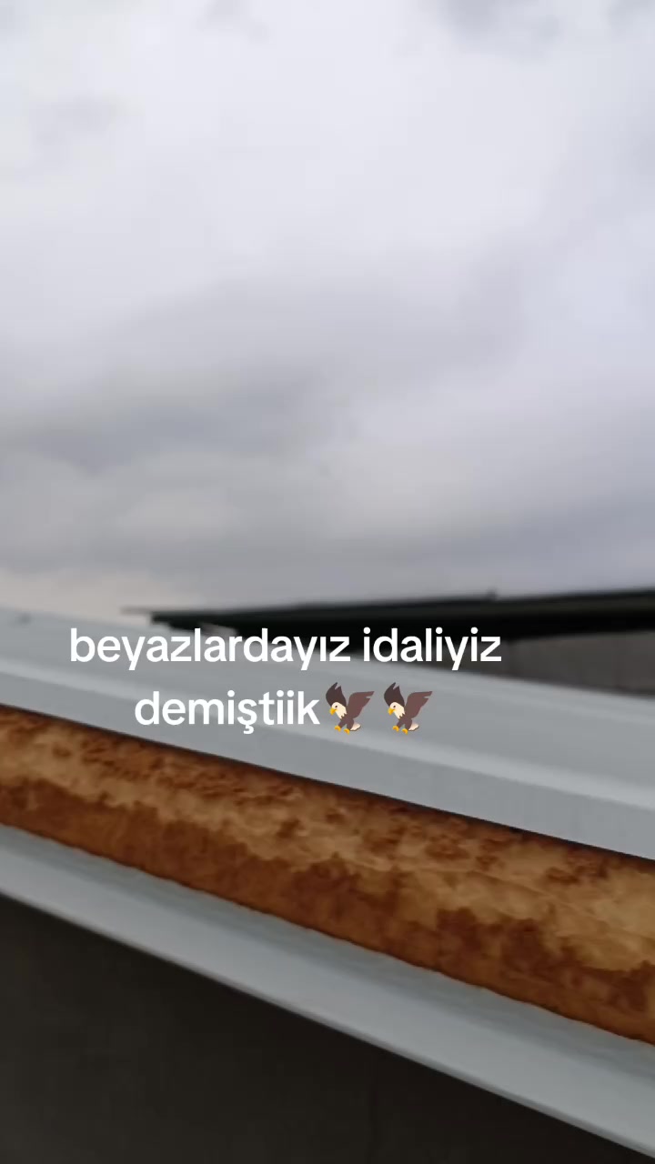 @47 argeş