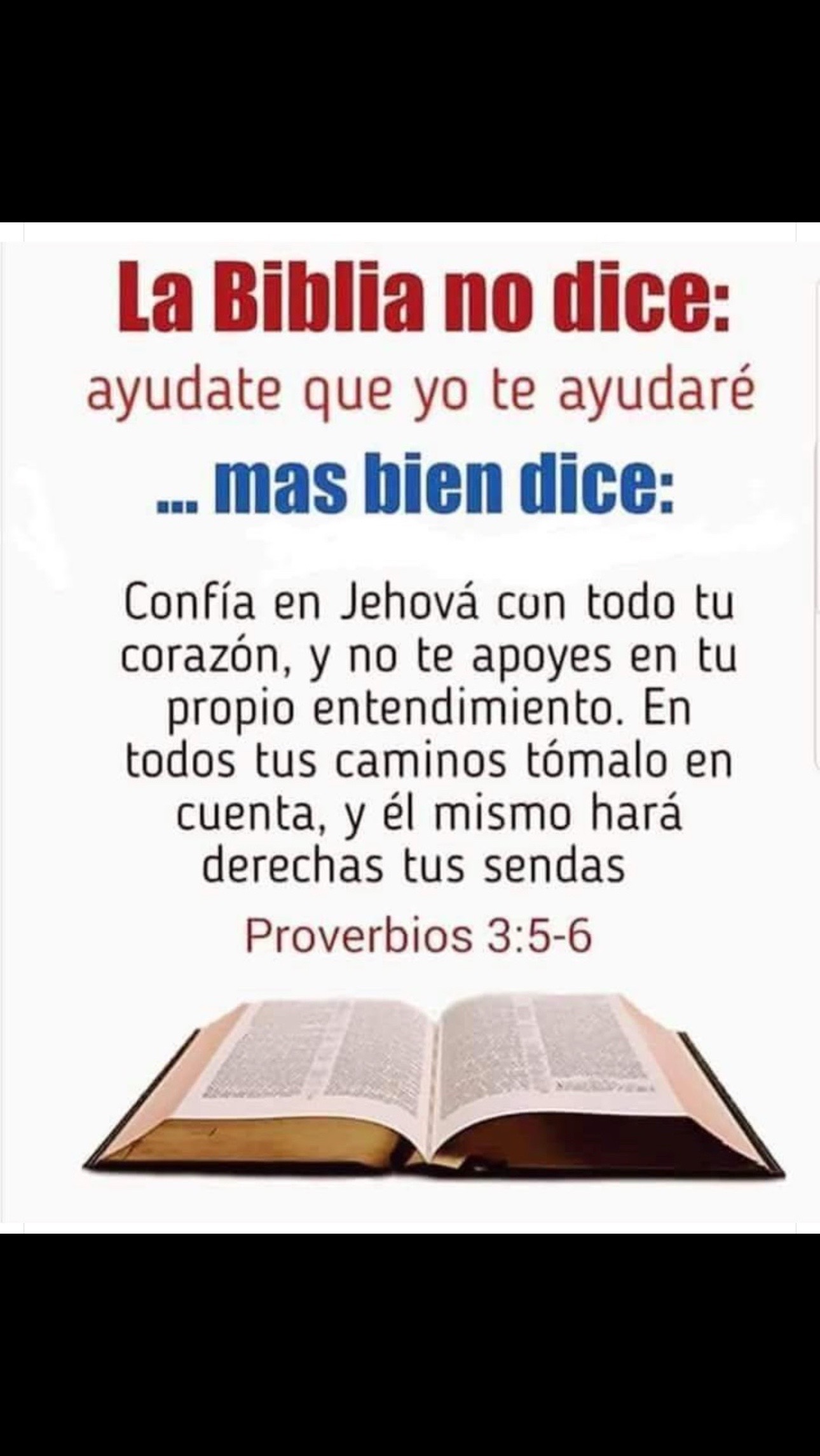 @Boclen