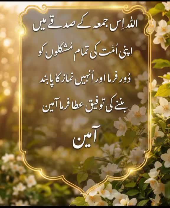 @Bilqees Aslam