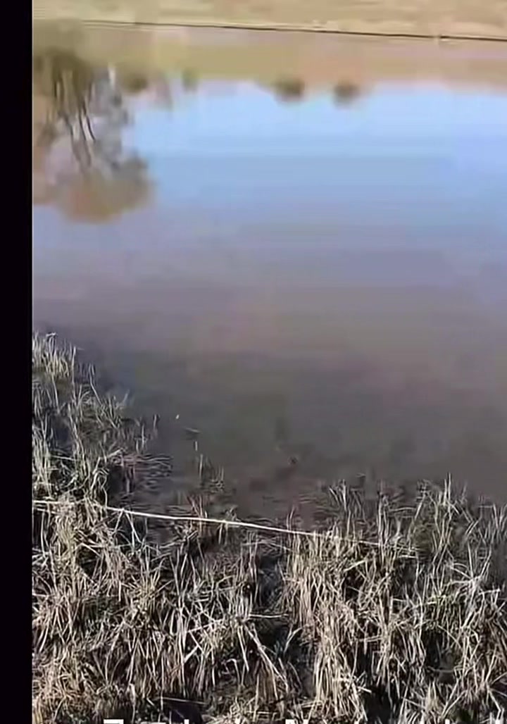 @endlessfishing