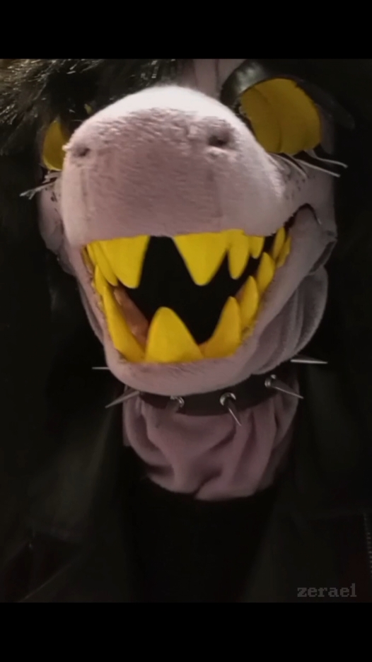@7\ 𝐙𝐞𝐫𝐚𝐞𝐥 @