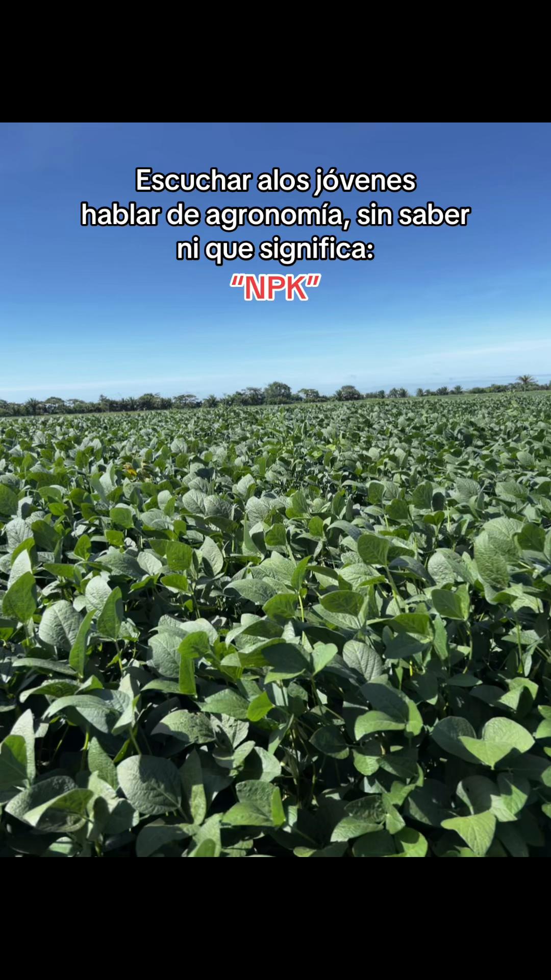 @MAYTE