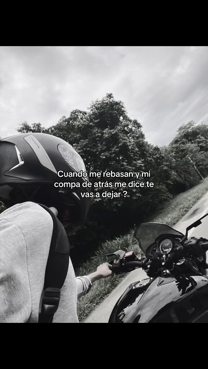 @El Mono🦦