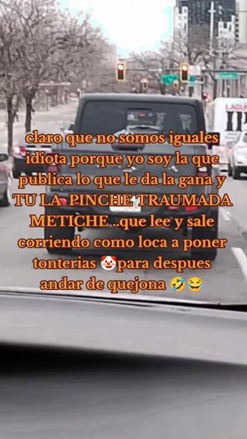 @🌸💖Gloria Estefan&iacute;🦋🌸