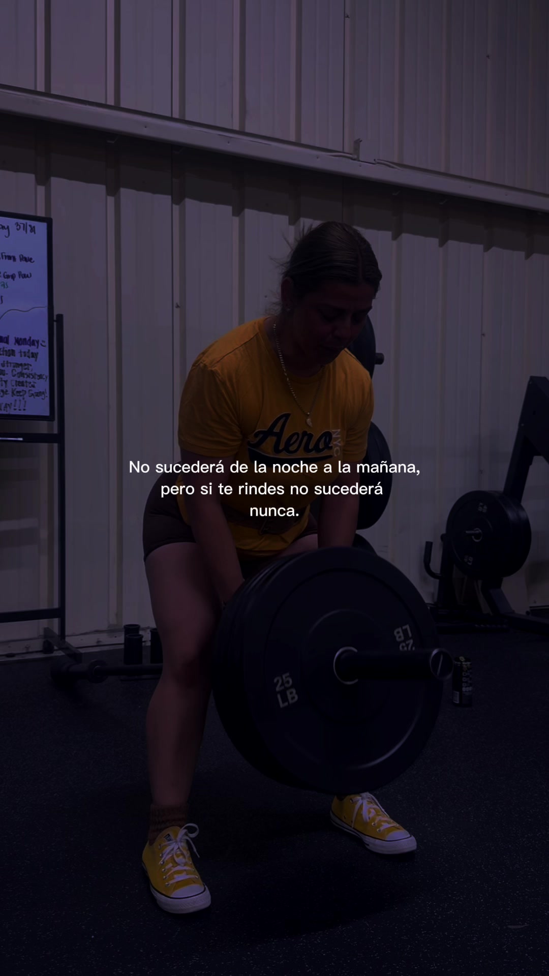@Andy Barajas