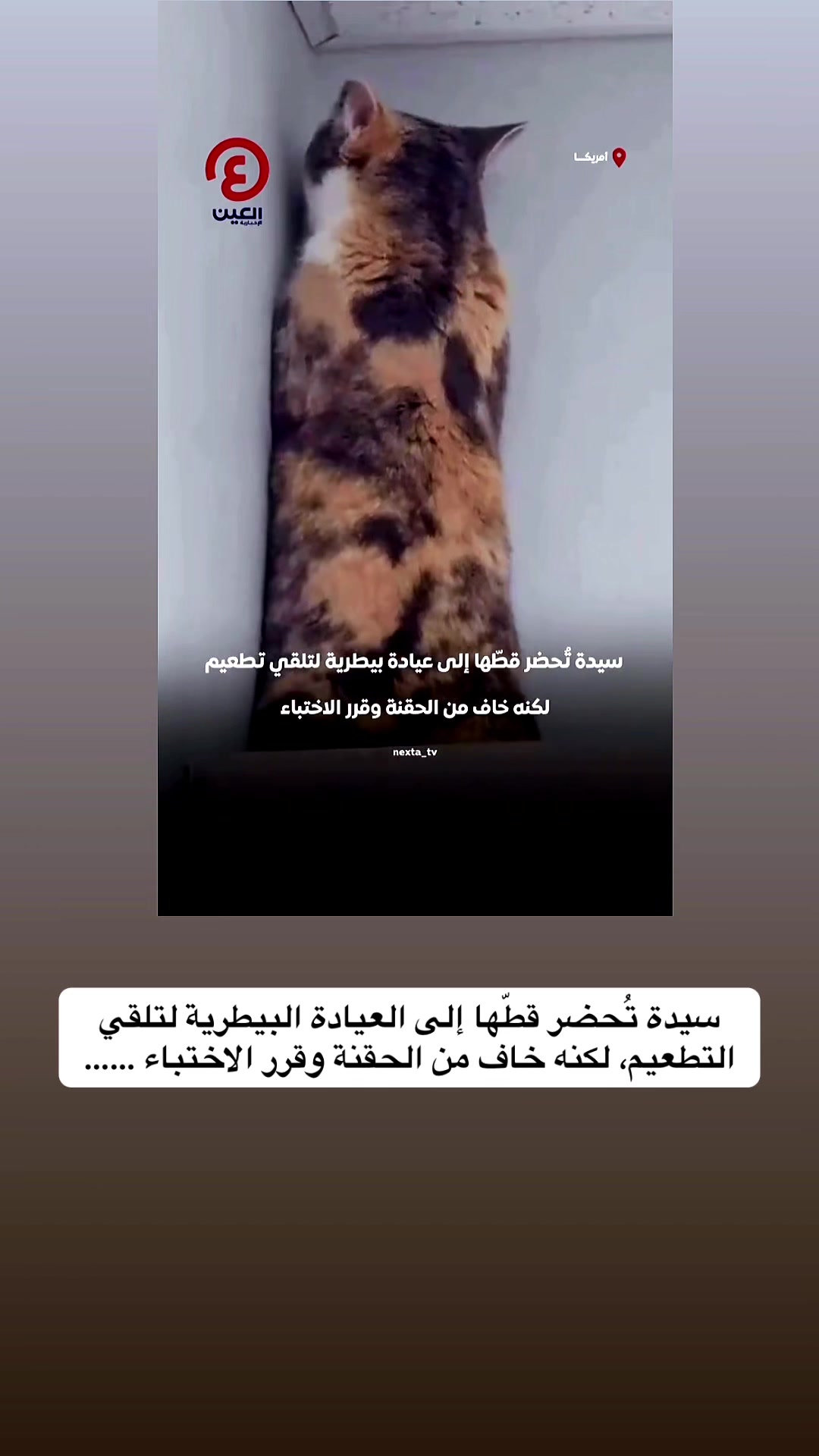 @قصص وغرائب ✍️🇸🇦