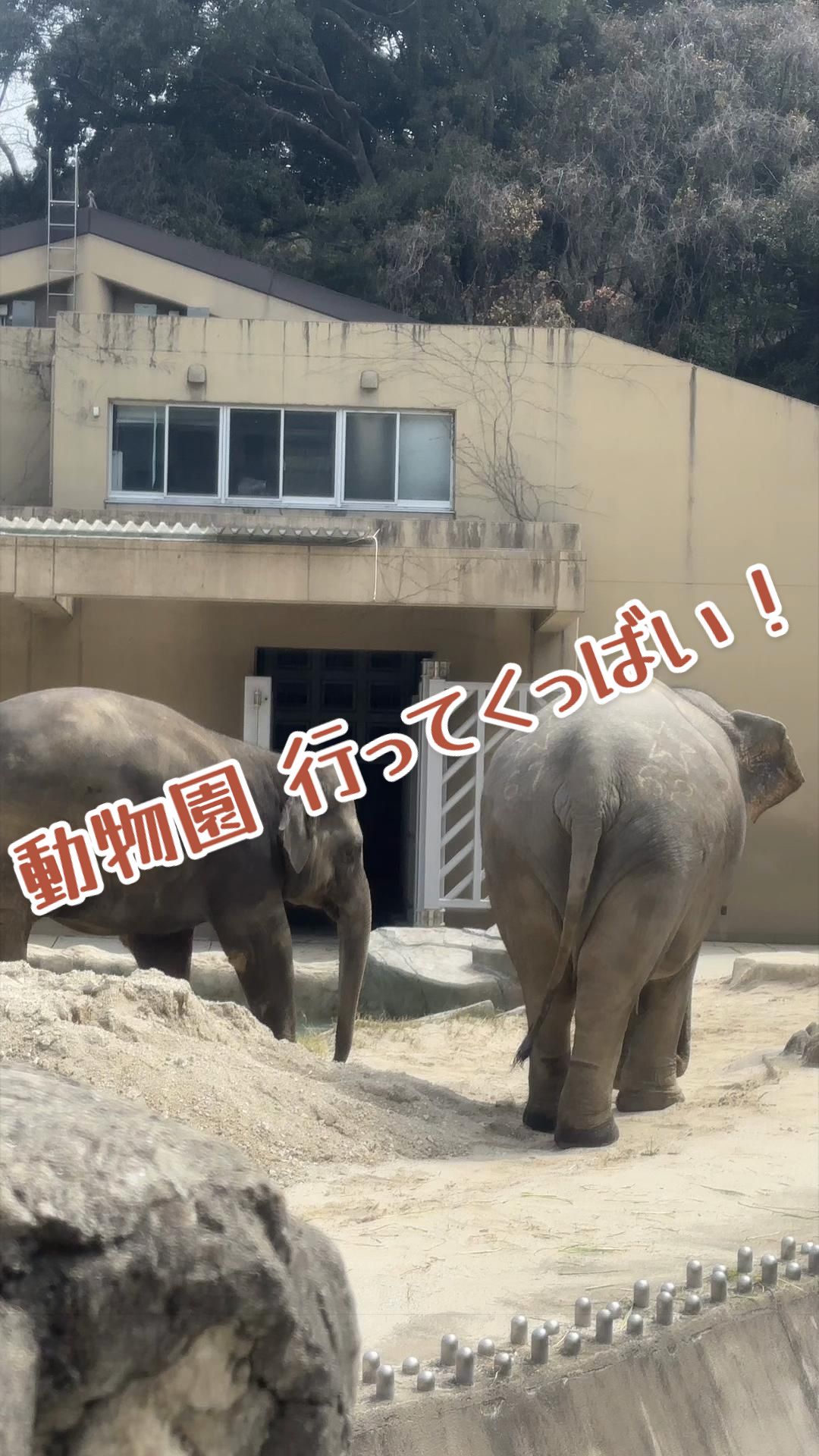 @ǤᗩᗷᗩᒎI🇯🇵 ᗰᗩᑎƳ ᕼᗝᗷᗷIᗴᔕ 🥃🐈🐾