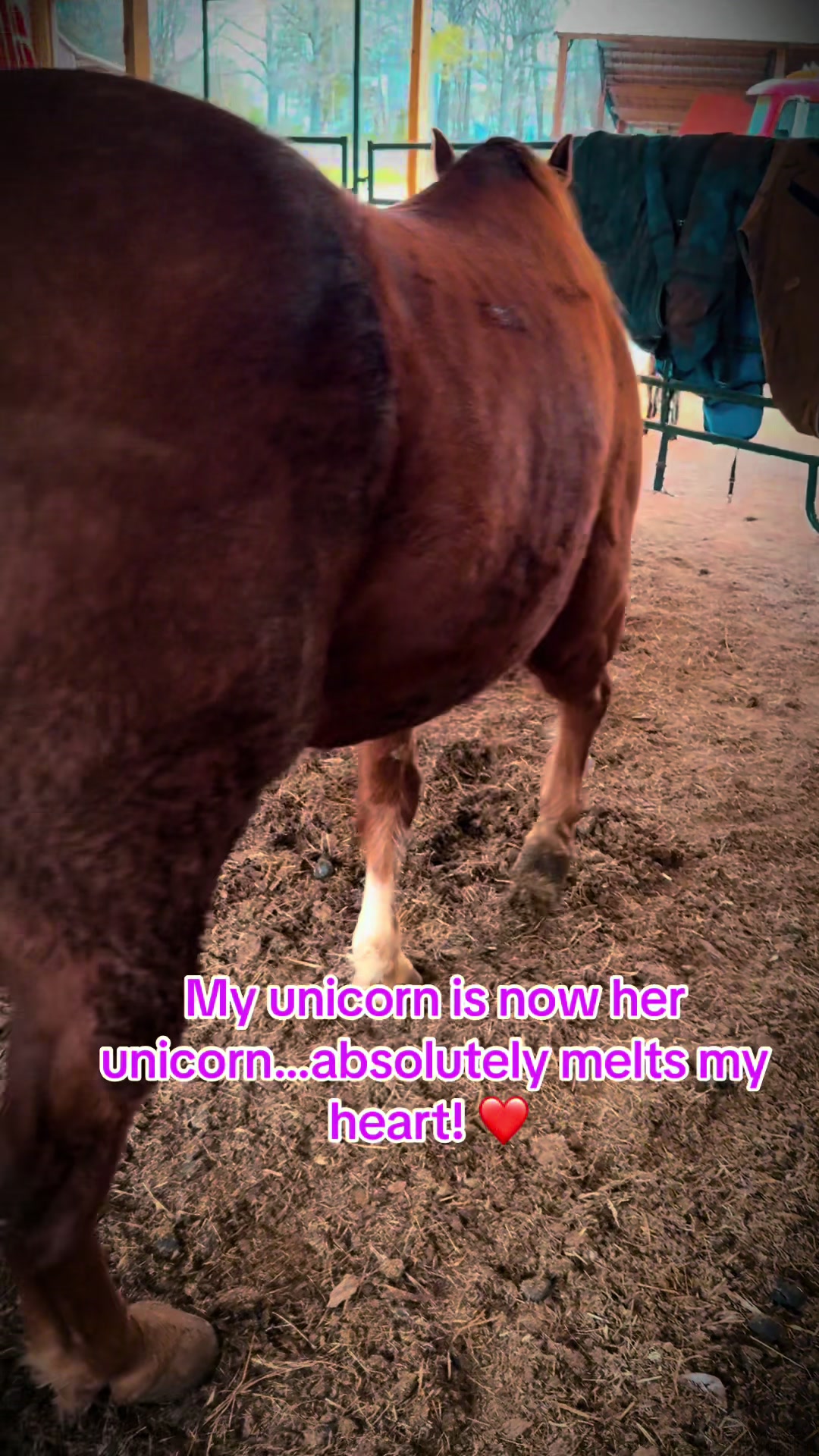 @DI CATTLE