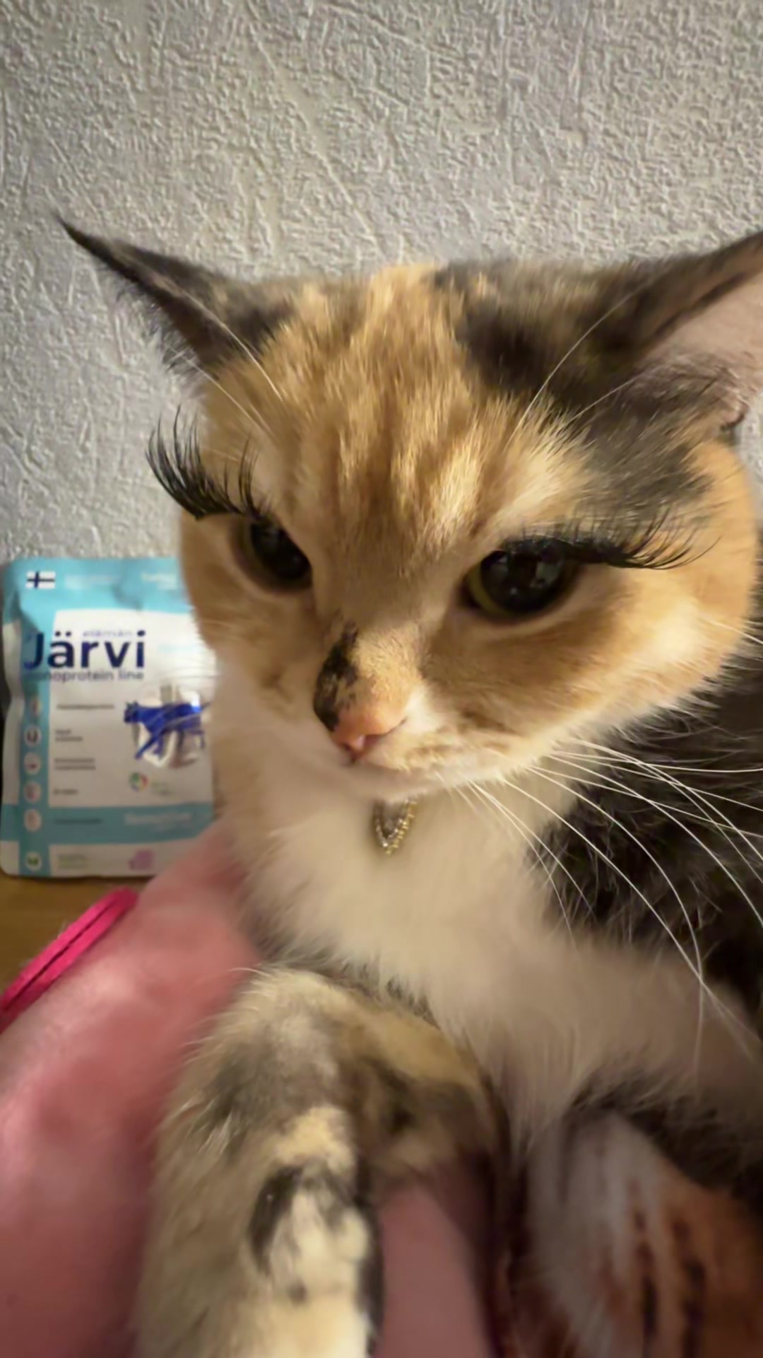 @Chloe 𝜗𝜚 Freya