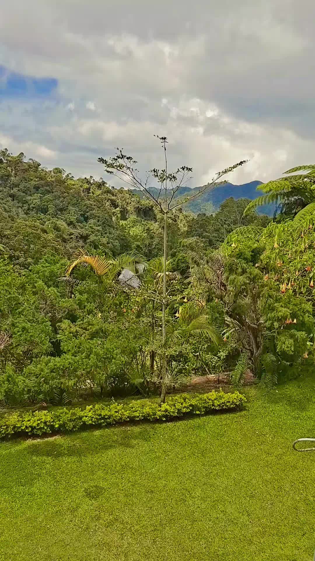 @Kaushik Tina&hearts;️