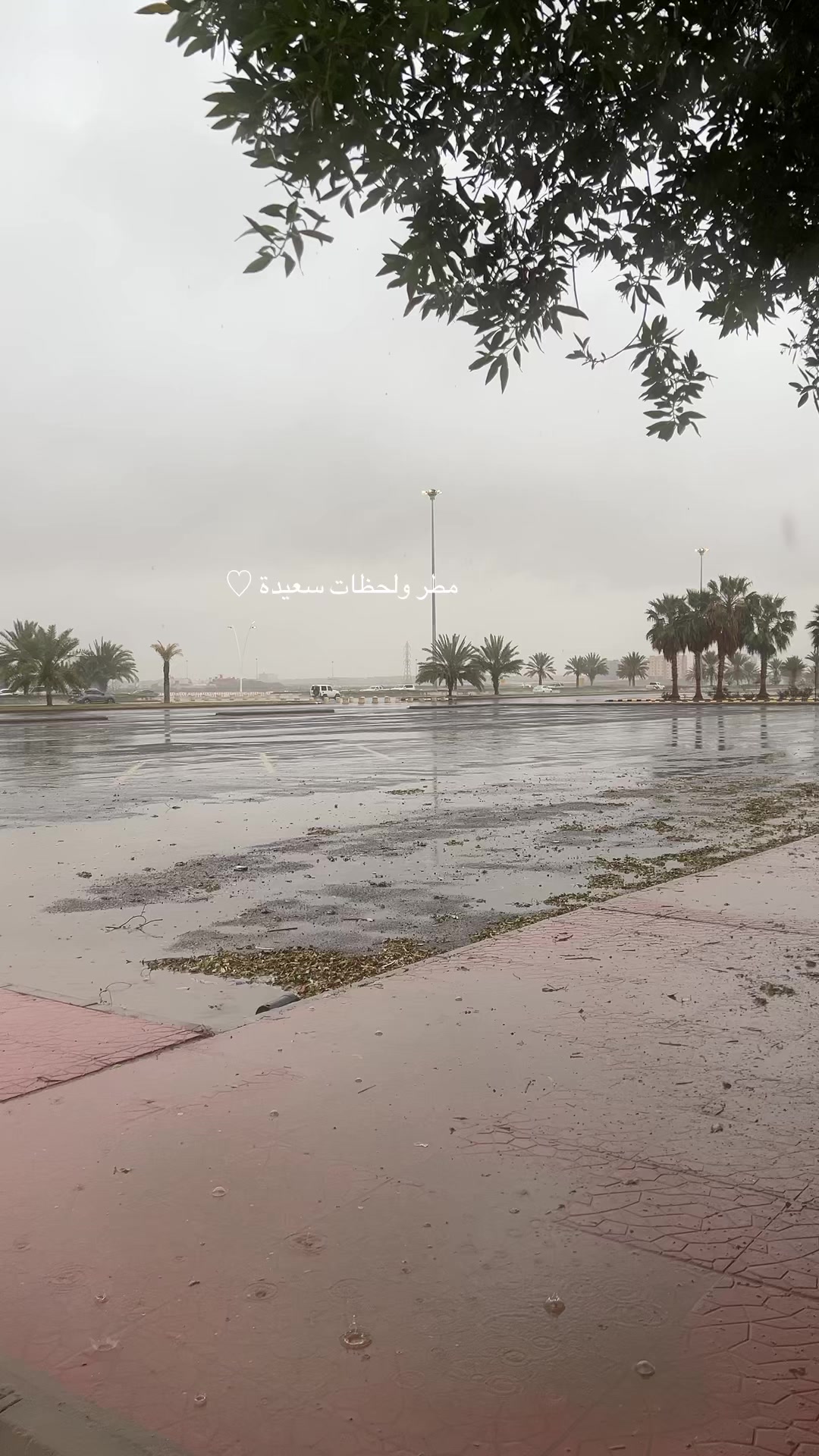 @الـڕڀــمۭ | 𓃗