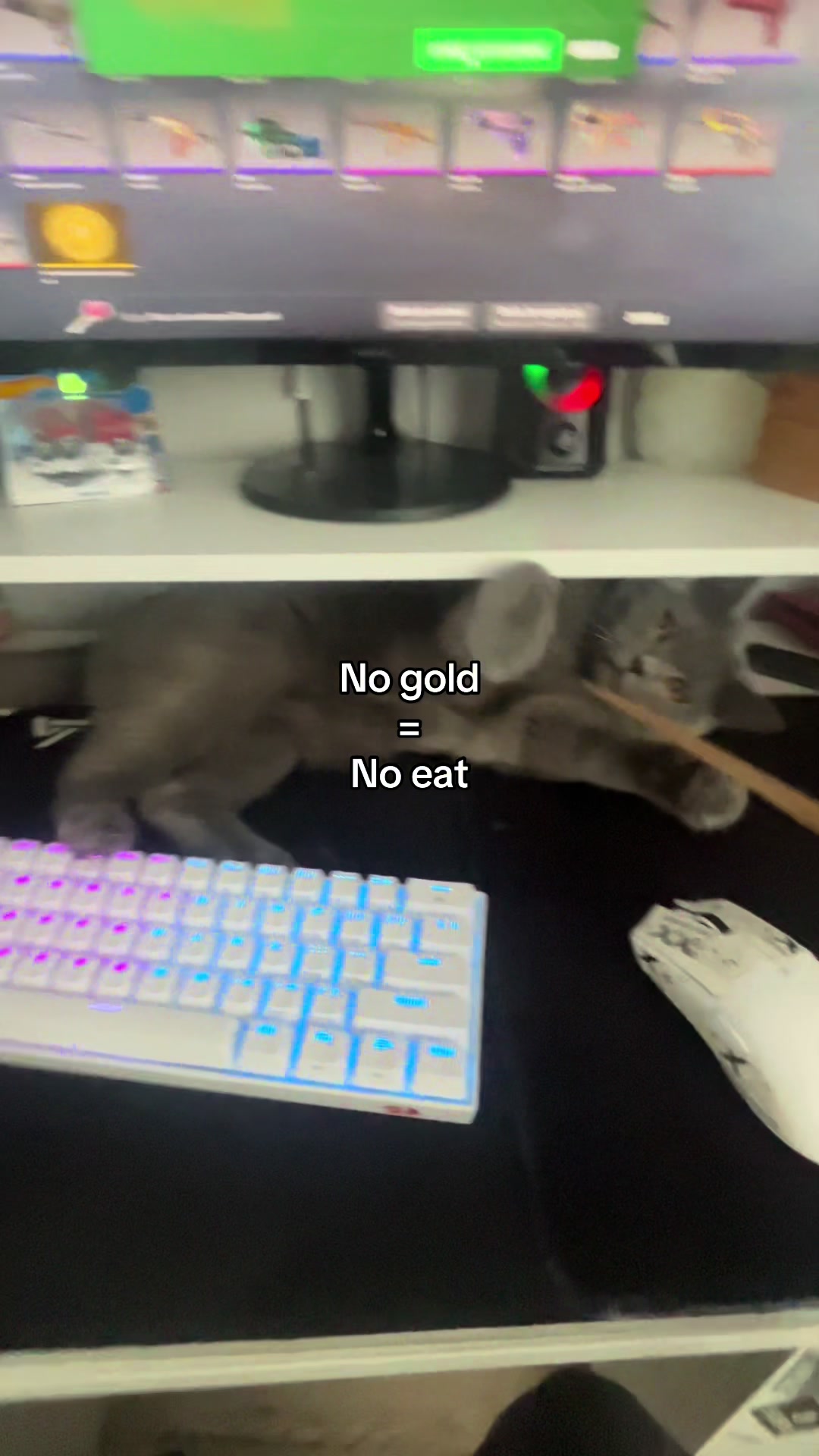 @Grafi🐱