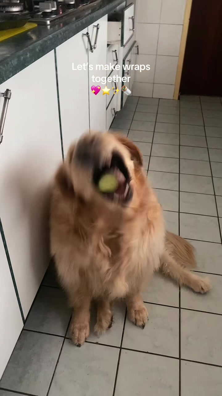 @Isabella 🎀