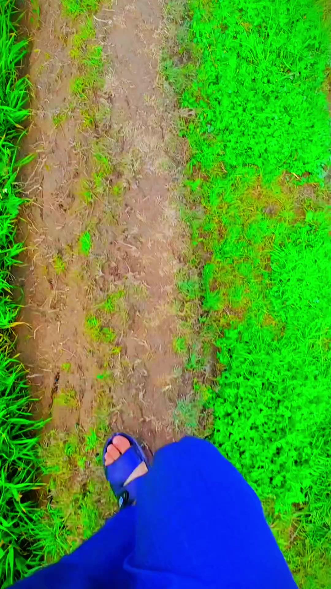 @أبِوُ صَهہيّــّبِ📸📍
