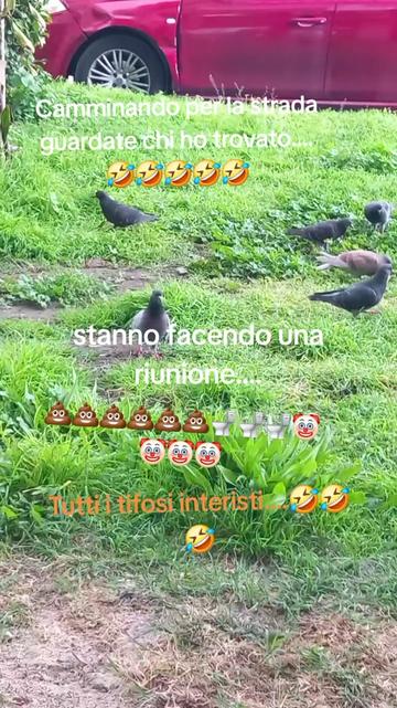 @💙💙Candy💙💙La Napoletana1926