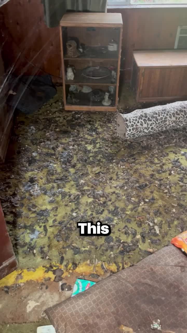 @Biggie Clean