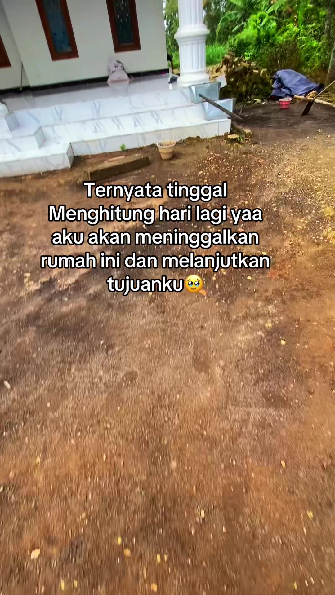 @T🦕