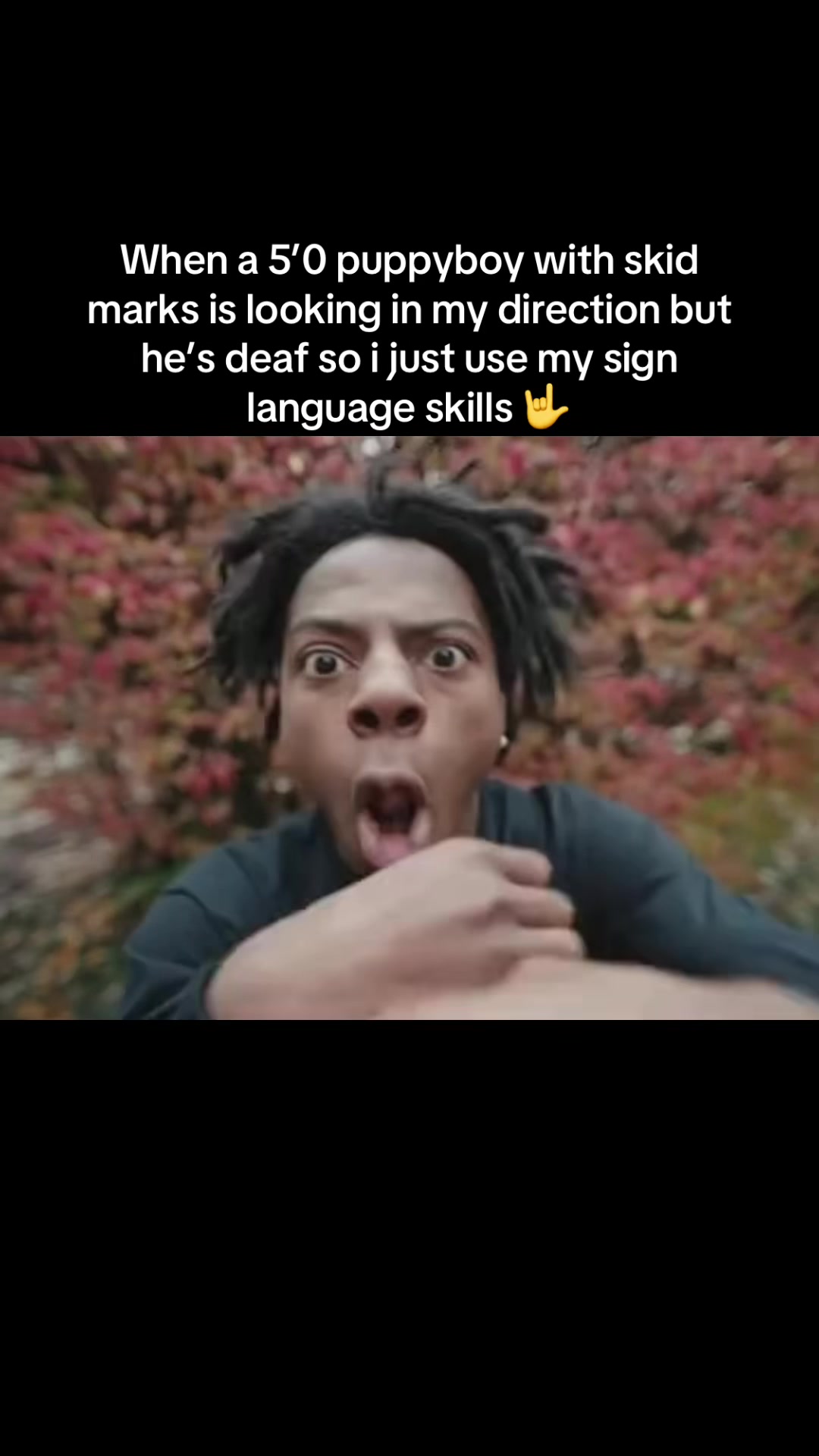 @dadopest