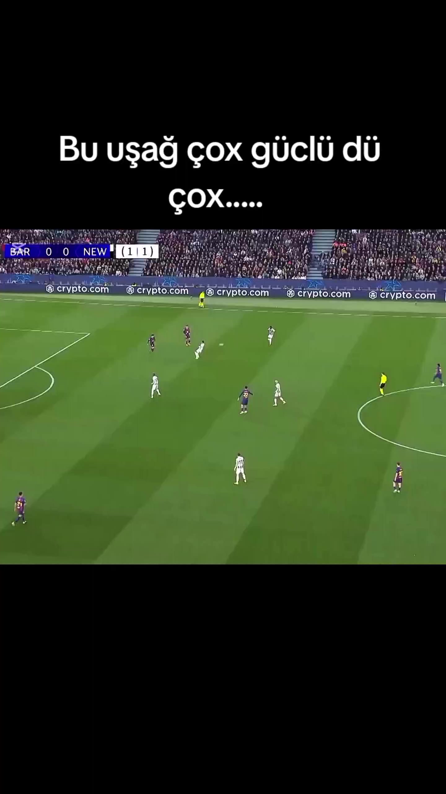 @qoltv🇮🇹