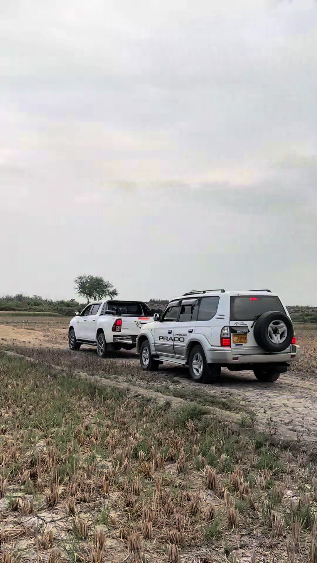 @GUL–HASSAN–PANDRANI 75