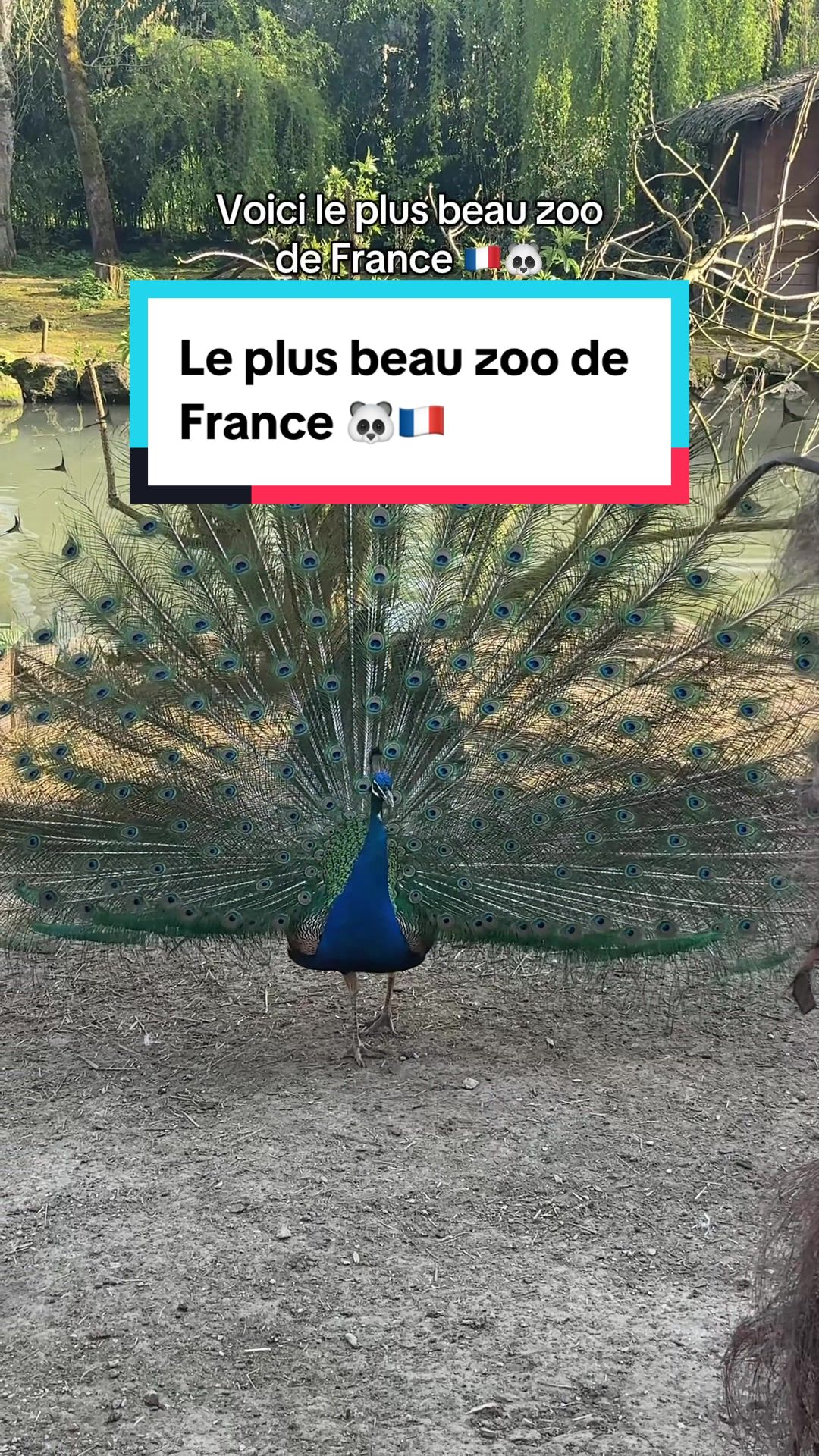 @Connaissez-vous ?