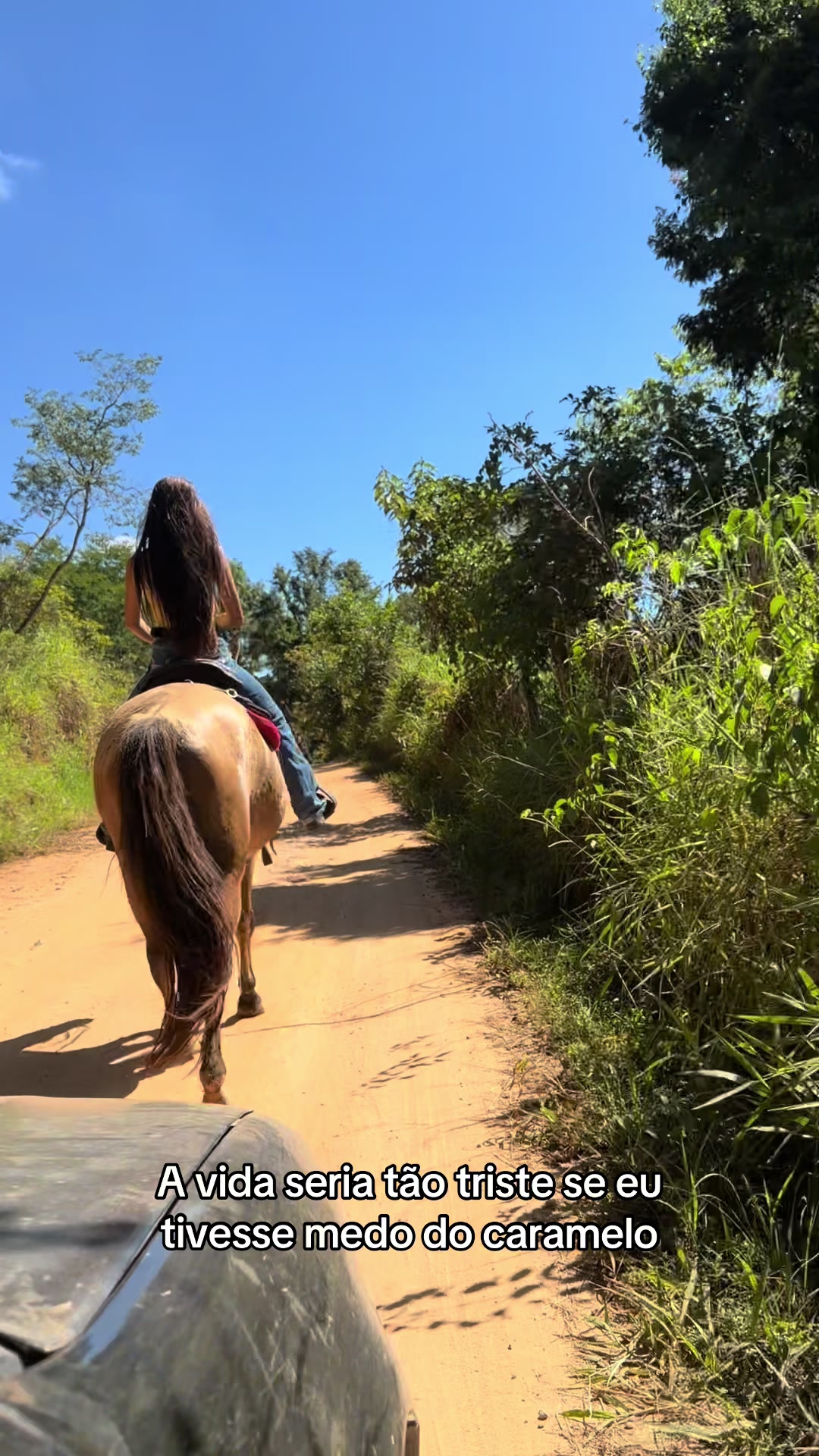 @Laurinha🐎