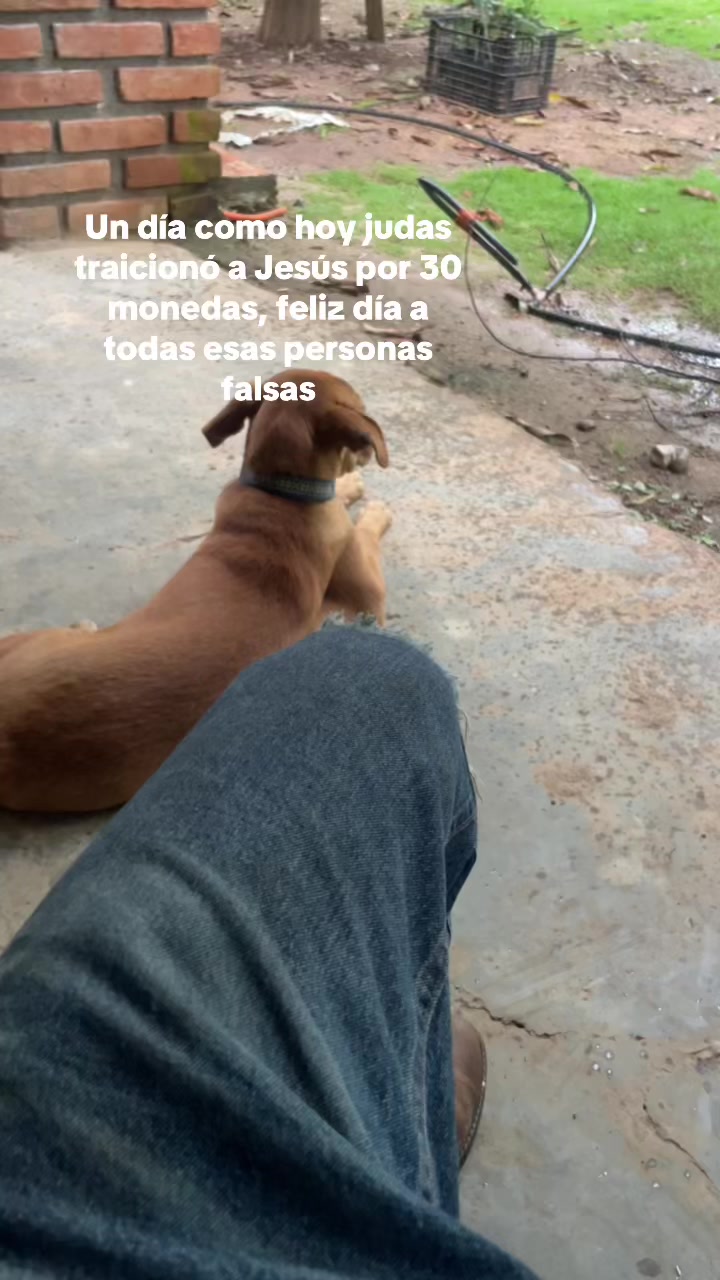@Adri&aacute;n__v_v